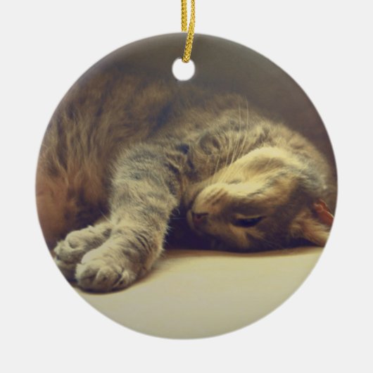 Schattige kat keramisch ornament (Voorkant)