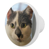 Schattige kat keramische knop (Rechts)