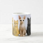 Schattige Kat Koffiemok (Center)