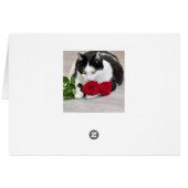 Schattige kat met de rode roos (Achterkant Horizontaal)