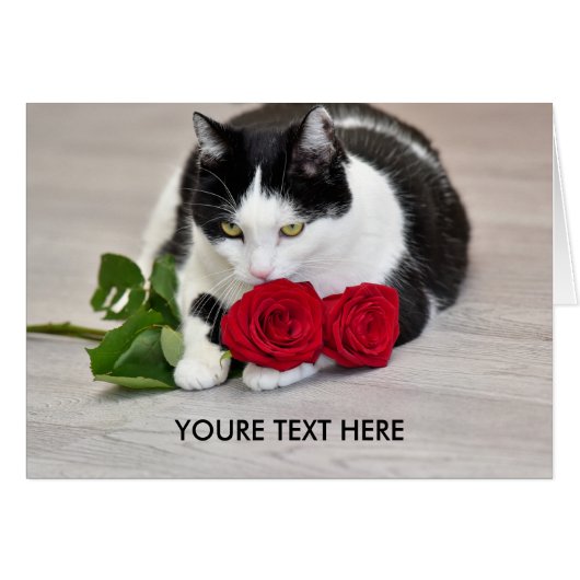 Schattige kat met de rode roos (Voorkant Horizontaal)