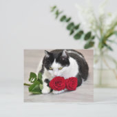 Schattige kat met de rode roos briefkaart (Staand voorkant)