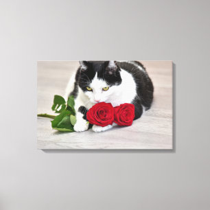 Schattige kat met de rode roos canvas afdruk