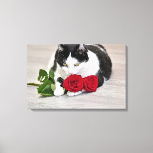 Schattige kat met de rode roos canvas afdruk (Voorkant)