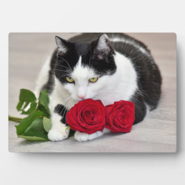 Schattige kat met de rode roos fotoplaat