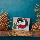 Schattige kat met de rode roos fotoplaat (Zijkant)
