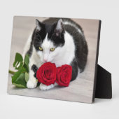 Schattige kat met de rode roos fotoplaat (Zijkant)