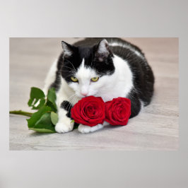 Schattige kat met de rode roos poster