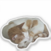 Schattige kat met gebroken hart sticker (Voorkant)