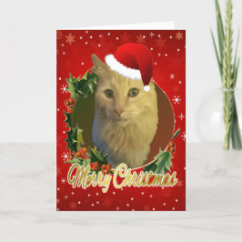Schattige kat met kerstmuts Kerstmis Feestdagen Kaart