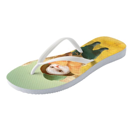 Schattige kat met kip op Boerderij Teenslippers (Schuin)