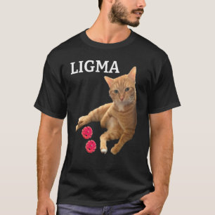 Schattige kat met speelgoed Ligma grap T-shirt