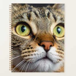 Schattige kat planner