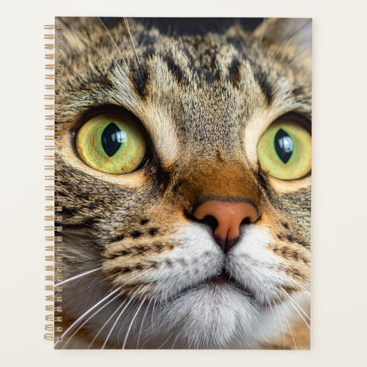 Schattige kat planner (Voorkant)
