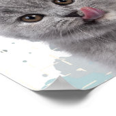 Schattige kat poster (Hoek)