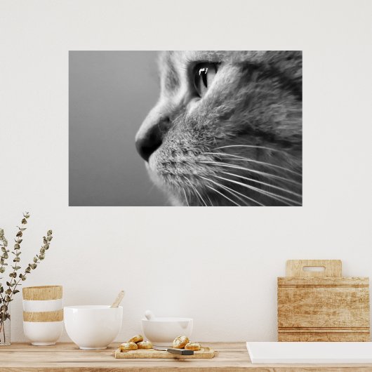 schattige kat poster (Keuken)