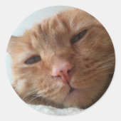 schattige kat ronde sticker (Voorkant)