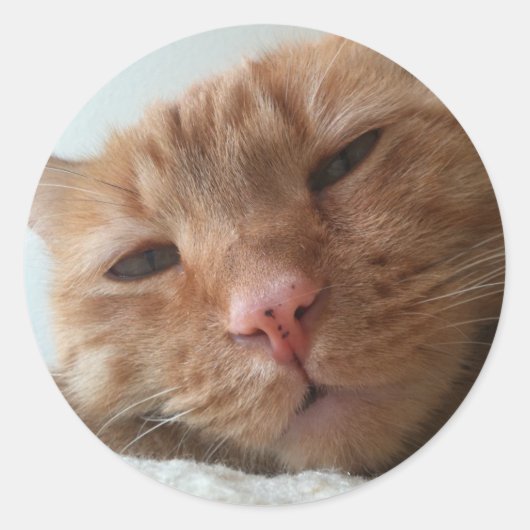 schattige kat ronde sticker (Voorkant)