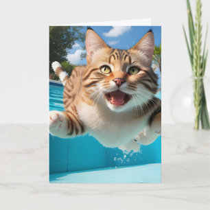 Schattige Kat Vliegende Zwemmende Duvende Zwembad Kaart