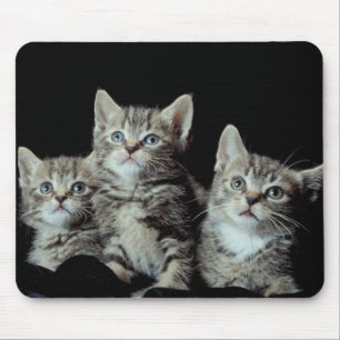 Schattige Katjes Muismat