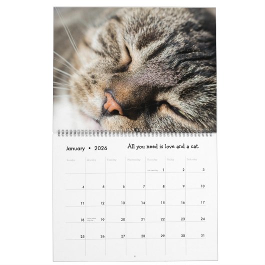 Schattige Katten 2022 Kalender (Jan 2026)