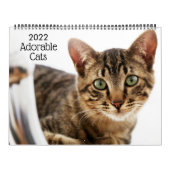 Schattige Katten 2022 Kalender (Hoes)
