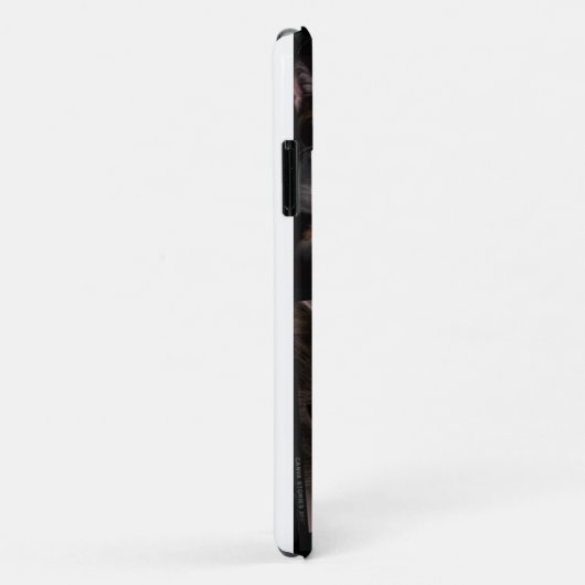 schattige katten drie foto Huisdieren Case-Mate iPhone Case (Achterkant/rechts)