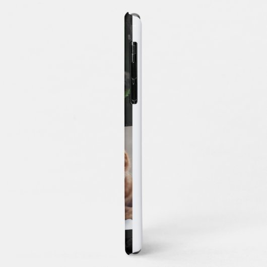 schattige katten drie foto Huisdieren Case-Mate iPhone Case (Achterkant/links)