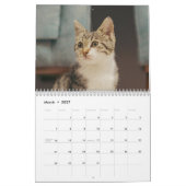 Schattige Katten Eenvoudig Modern Kalender (Mar 2027)