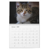 Schattige Katten Eenvoudig Modern Kalender (Jan 2027)