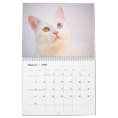 Schattige Katten Eenvoudig Modern Kalender (Feb 2027)