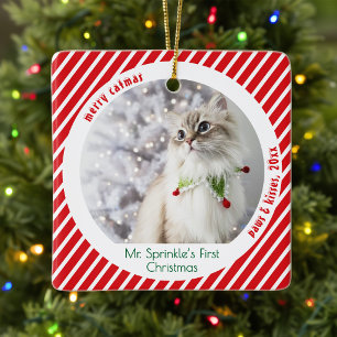 Schattige Katten Eerste Kerstmis Festive Aandenken Keramisch Ornament