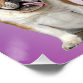 Schattige katten en honden welkom  perfect poster (Hoek)