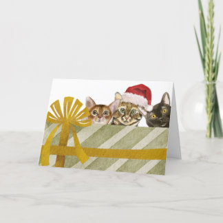 Schattige katten en kerstpakket feestdagen kaart