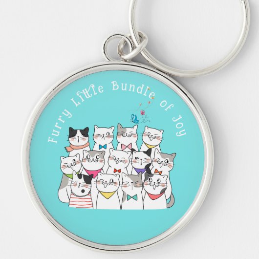 Schattige katten, grappige katten, knuffelbundel v sleutelhanger (Voorkant)