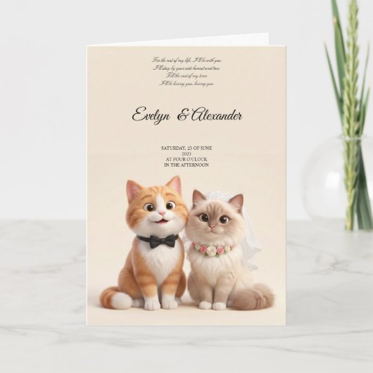 Schattige Kattenbruid en -bruidegom Blush Roze Blo Kaart (Voorkant)