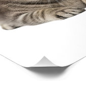 schattige kattenfamilie knuffel perfect poster (Hoek)