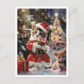 Schattige Kattenkerstman Vrolijk Kerstfeest Briefkaart (Voorkant)