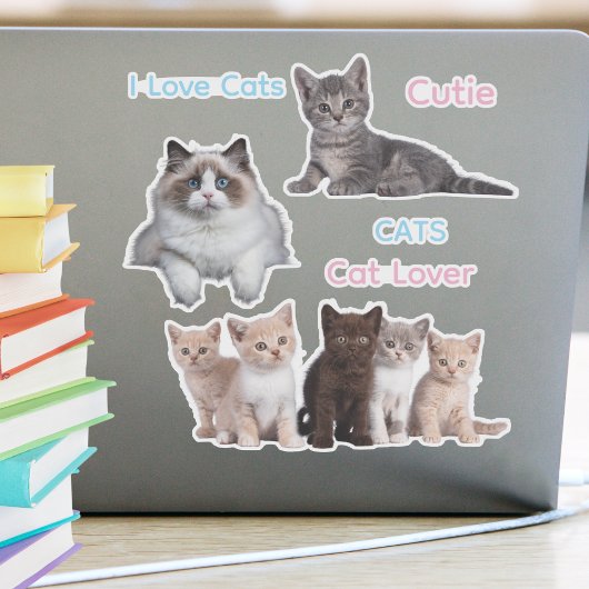 Schattige kattenplezier en gekke kattenliefhebber sticker