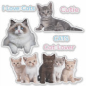 Schattige kattenplezier en gekke kattenliefhebber sticker (Voorkant)