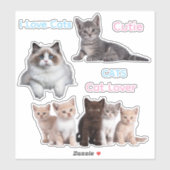 Schattige kattenplezier en gekke kattenliefhebber sticker (Vel)