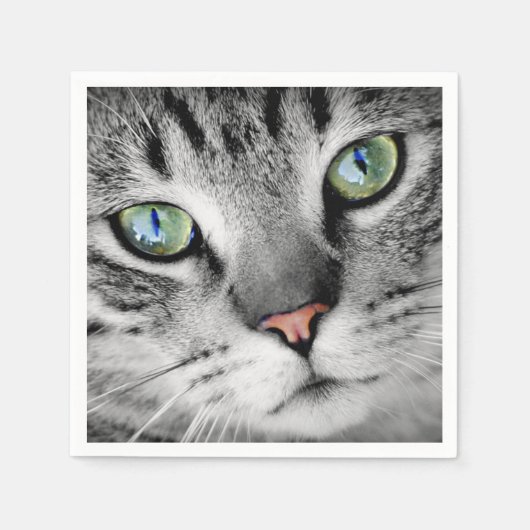 Schattige kattenportret met groene ogen servetten (Voorkant)