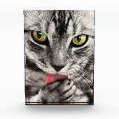 Schattige kattenportretfotoblok fotoblokken (Voorkant)