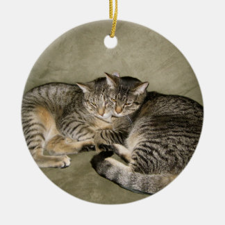 Schattige kattensierplant keramisch ornament