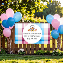 Schattige Kawaii Baby-Q Geslacht Reveal Feest
