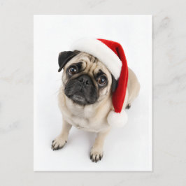 Schattige Kerst Hertenbruine Pug Kerstman Hoed Pup Briefkaart