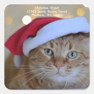 Schattige kerst kat retouradres vierkante sticker