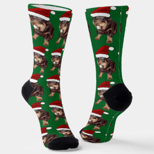 Schattige Kerst-Rottweiler Met Rode Kerstmanhoed Sokken