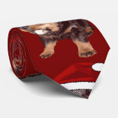 Schattige Kerst-Rottweiler Met Rode Kerstmanhoed Stropdas (Opgerold)