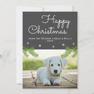 Schattige Kerstdennen Takken Sneeuwvlok Honden Fot Kaart